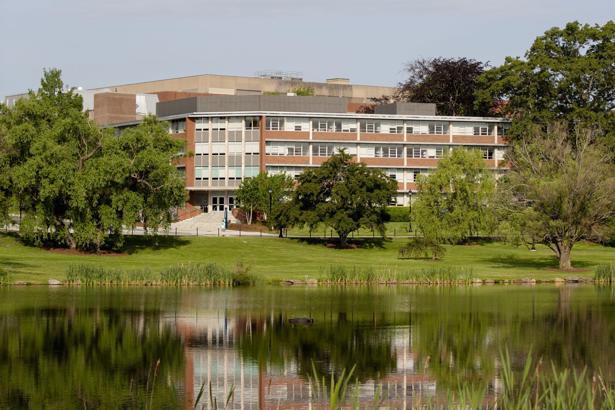 Undergraduate Program Department of Mathematics